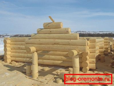 Изкореняване на мъжки животни