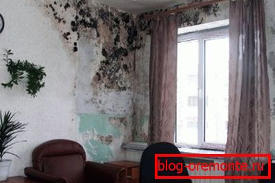 Аматьорска снимка на бетонни стени, засегнати от гъбички, дължащи се на повишена влага Аматьорска снимка на бетонни стени, засегнати от гъбички, дължащи се на повишена влага