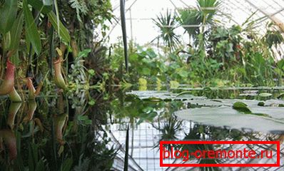 Проект с голям мащаб
