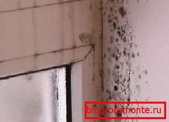 Неправилно отстраняване на влагата от стаята Неправилно отстраняване на влагата от стаята