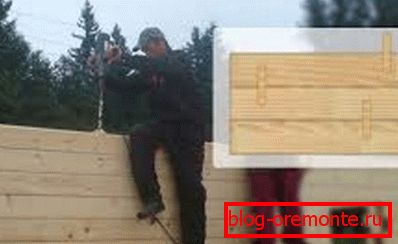 Принципът на организиране на връзката на венците един с друг Принципът на организиране на връзката на венците един с друг