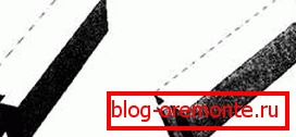 Надлъжно свързване на гръбначния стълб. Надлъжно свързване на гръбначния стълб.