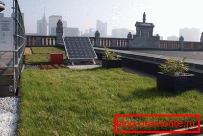Зелен покрив